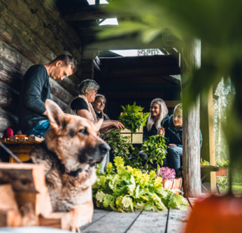 saunaviha valmistamine