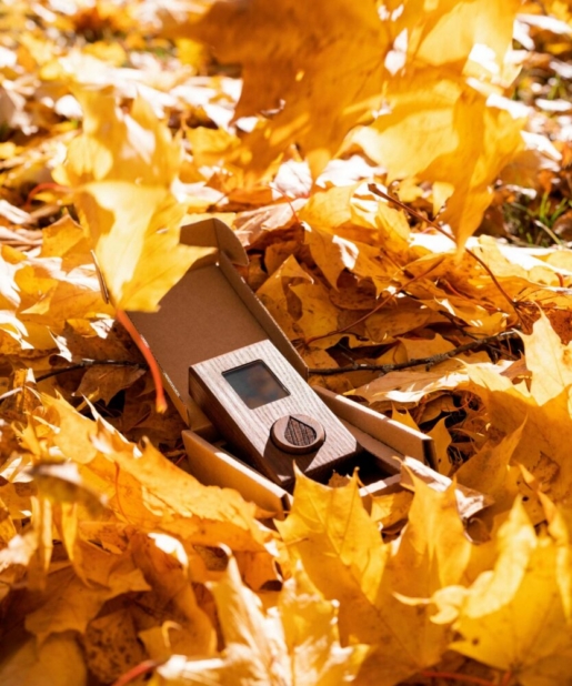 Innovating with nature in mind