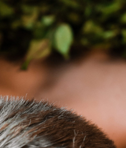 Do You Want Good Results in Sports? Add Sauna to Your Workout! 2 tahad-spordis-haid-tulemusi-lisa-treeningule-saun-2