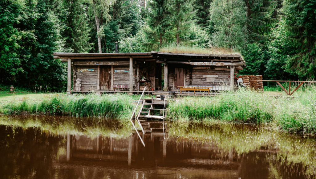 saunakultuur-ja-kasulikud-napunaited